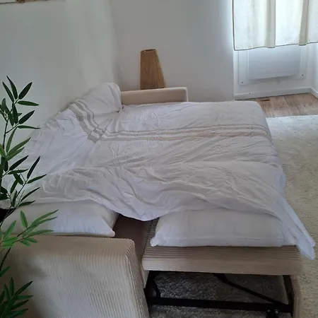 Chaleureuse Convivialite A Partager Apartment Roanne